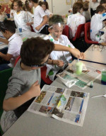STEM 6